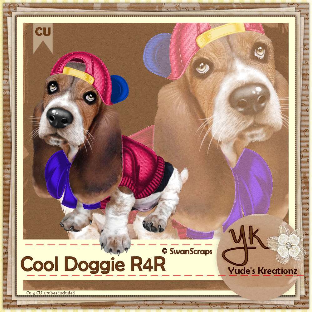Cool Doggie R4R